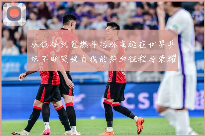 从低谷到重燃斗志林高远在世界乒坛不断突破自我的热血征程与荣耀梦想